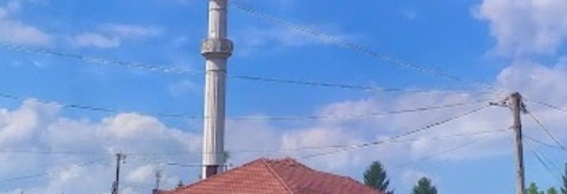 DDF960FA-70BF-433A-9184-E468E44E73D6