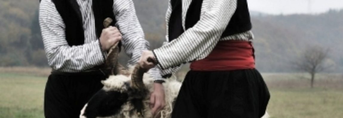 IMG-0b198cd476ab09c2f00b461e978a2b2c-V