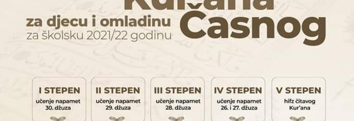 IMG-29664ee2d442f498b5cdc3d794bf35ef-V