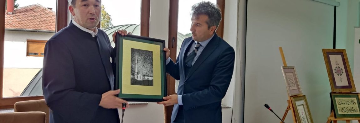 IMG-554832093f2bcdac57982e7c95dea3a0-V