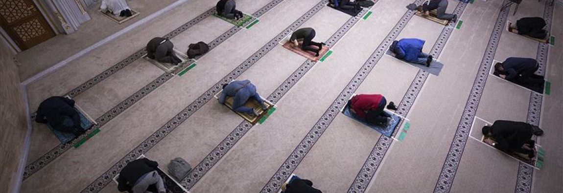 thumbs_b_c_da3660cbfd6208ec06715dd4343c2a22